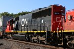 CN 5441